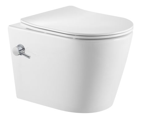 DeRicci WH2105A-Bidet Professional Series Rounded Rimless Wall-Hung Bidet Bowl – Gloss White 52x37x31